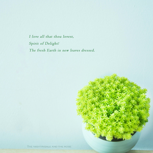 六月婷婷久香在线视频
